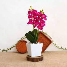 Ada jutaa jenis bunga di muka bumi ini, dan berasal dari berbagai. Tanaman Hias Artificial Pohon Anggrek Sintetis Bunga Hiasan Meja Terbaru Agustus 2021 Harga Murah Kualitas Terjamin Blibli