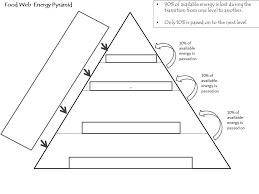 This serves as an opportunity for the interviewer to get answers to qu. Science Energy Pyramid Quiz Diagram Quizlet