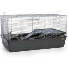 For a pet hamster, that place is their bedding. The Essentials Our 5 Best Hamster Cages Of 2021 Petonbed Reviews