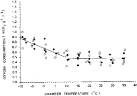 The Project Gutenberg Ebook Of Metabolic Adaptation To