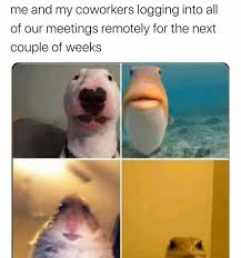 Memes is your source for the best & newest memes, funny pictures, and hilarious videos. 35 Funny Coronavirus Memes To Lighten The Mood Honeycombers Bali