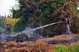 battle Kuala Langat peat fire
