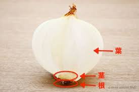 玉ねぎの芯は食べられる 茎や根に毒はない 真ん中は食べられる コジカジ