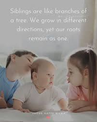 Not everyone gets the privilege of growing up with siblings. 100 Best Quotes About Siblings And Their Bond With Images