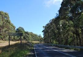 Connecting locals with local businesses, services and community services and information. Wombat State Forest Simple English Wikipedia The Free Encyclopedia