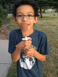 Organic homemade fudgesicles with coconut milk