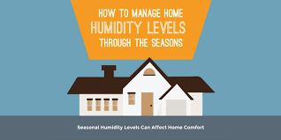 How To Manage Humidity Levels Through The Seasons Infographic