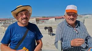 ÇORUM HAYVAN PAZARI KÜÇÜKBAŞ. 12 AĞUSTOS ÇEKİMİ 2 BÖLÜM. 14 AĞUSTOS 2024