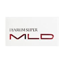Tahun 1963 pendiri pt djarum tersebut meninggal dunia dan akhirnya bisnisnya dilanjutkan oleh anaknya yang bernama budi dan bambang. Pt Djarum Super Bandung