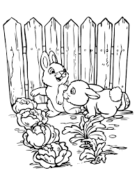 We collected different coloring pages here flowers so you can paint them colorful. Garden Coloring Sheets Coloring Home