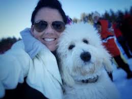 Saint Berdoodle Puppies for Sale