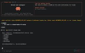 Claude Code & Codex 供应商切换器| DMXAPI 文档