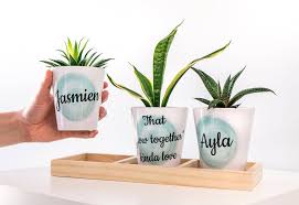 You can choose to buy each pot on its own or with a cactus or succulent and it is a great original gift for friends, family and loved ones. Personalised Flower Pot Photo Gifts Smartphoto