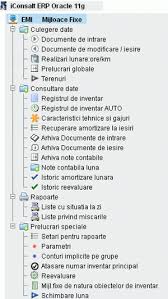 Prin mijloc fix se intelege obiectul sau complexul de obiecte ce se utilizeaza ca atare si indeplineste cumulativ mijloace fixe fondul mijloacelor fixe. Evidenta Mijloace Fixe Module Erp Program Software Romanesc