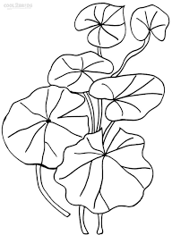 Printable Lily Pad Coloring Pages For Kids Cool2bkids Lily Pad Drawing Coloring Pages Flower Coloring Pages