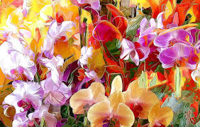 We did not find results for: Orchids Art Orange Orchid Painting Flower Yellow Pink Hd Wallpaper Peakpx