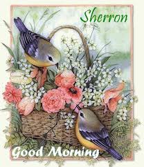 Maybe you would like to learn more about one of these? Photo Good Morning Birds Good Morning Album Miracle Marge Fotki Com Photo And Video Sharing Made Easy