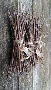 Natural Tree Branches Stick Of Wood Twigs Wood Branches Wild Etsy Natural Tree Branches Tree Branches Wood Branch