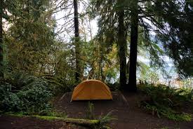 Already know which campground you wish to visit? Camping At Olympic National Forest Find Reservations At Olympic National Forest Campnab