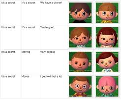 buretto crossing animal crossing new leaf face guide