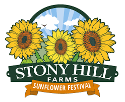 Some pick your own flowers tips and information: Weekday Pick Your Own Flowers