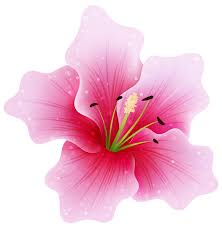 Related image