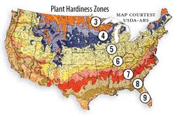 A red bud sport for green d'anjou. A Guide To Planting Pears For Deer Nda