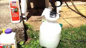 Our usda organic fruit trees are certified annually and meet very strict standards. Bordeaux Mixture Organic Fungicide For Grape Vines Fruit Trees Zucch Organic Fungicide Fungicide Diy Grape Vine