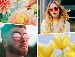 Nous assurons les ventes, suivi commercial et expéditions. Les Lunettes De Soleil Tendances Pour Le Printemps 2019