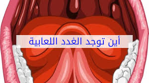 أين توجد الغدد اللعابية Youtube