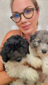 Ok pet lovers… you have to scroll through and see all these pics! 🐾✨ My  new mini doodle duo has brought such fun, fresh, silly energy into my life  — I’m officially a smitten doodle mom. 💛, I’m ...