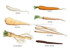 Root Vegetables To Add To Your Plant Based Diet Note Salsify Is A Root Vegetable Often Used In Cuban Cuisine Root Vegetables Vegetables Vegetable Pictures