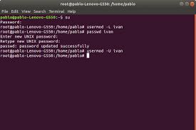To unlock a locked user: Users And Groups Administrations From The Command Line In Linux