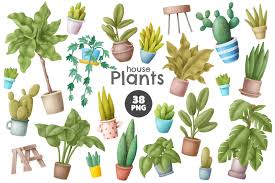 Here you can explore hq plant transparent illustrations, icons and clipart with filter setting like size, type, color etc. Home Plants Clipart By An Kle 2 On Creativemarket Clip Art House Plants Nursery Patterns