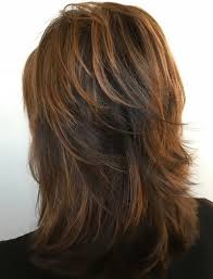 60 Most Universal Modern Shag Haircut Solutions Modern Shag Haircut Thick Hair Styles Medium Hair Styles