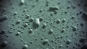 Check spelling or type a new query. Closeup Of Bacterias Under Microscope Stock Footage Video 100 Royalty Free 3634721 Shutterstock