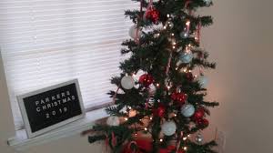 Check spelling or type a new query. Putting Up The Christmas Tree With Us Everything From Family Dollar Store Youtube