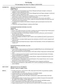senior business systems analyst resume