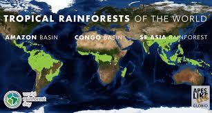 Discover that abiotic factors such as temperature and tropical rainforests around the world have high humidity, about 88% during the wet season and temperature: Rainforests Globio
