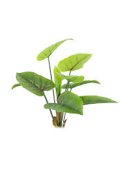 3r By Moonglowlilly On Deviantart Photoshop Plants Landscape Elements
