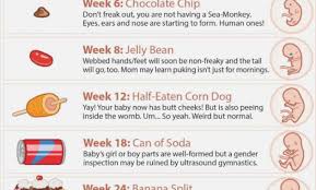 Perspicuous Baby Growth Chart One Month Fetal Development