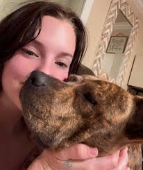 🥹🥹🥹My dog sleeps wherever he wants, my house is his house, he is my  child 🥰🥰🥰