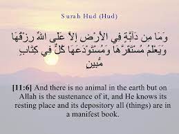 It is about the prophet hud. Surah Hud Ayat 56 Google Search Wise Manifestation Sayings