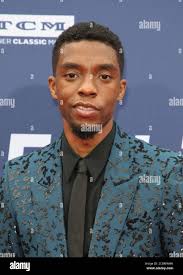 Chadwick hi-res stock photography and images