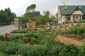 山梨県北杜市 カフェ レストラン 葉凪様 作品 神谷造園 Kamiya Landscape Gardening
