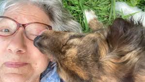 Fundraiser by Patricia Stansbury : Urgent Care for Georgia: Surgery  Fundraiser