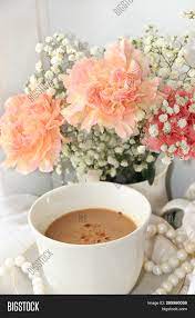 Tumblers of coffee, a good book. Cup Coffee Flowers On Image Photo Free Trial Bigstock