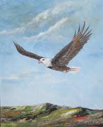 Apalagi elang termasuk burung predator atau burung pemangsa yang banyak ditakuti oleh hewan lain. Jual Lukisan Burung Elang Terbang 100x120cm Di Lapak Jendela Ubud Painting Bukalapak