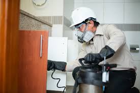 Residential and commercial pest control services, for your home and business. Emirates International Facility Management Pest Control Services