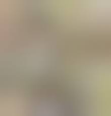 画像】昔のＴＶの「温泉レポート」女子アナが普通におっぱい出してたってマジ？（GIFあり） - エロ画像ちゃぼらんぷエロ画像ちゃぼらんぷ